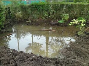 Garden Drainage Bothwell